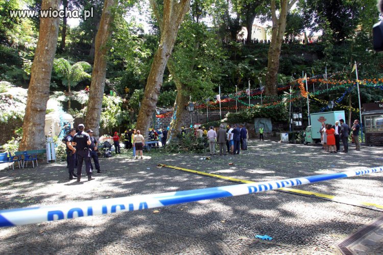 Tragedia na Maderze podczas procesji