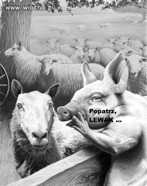 Tymczasem w pewnym kraju