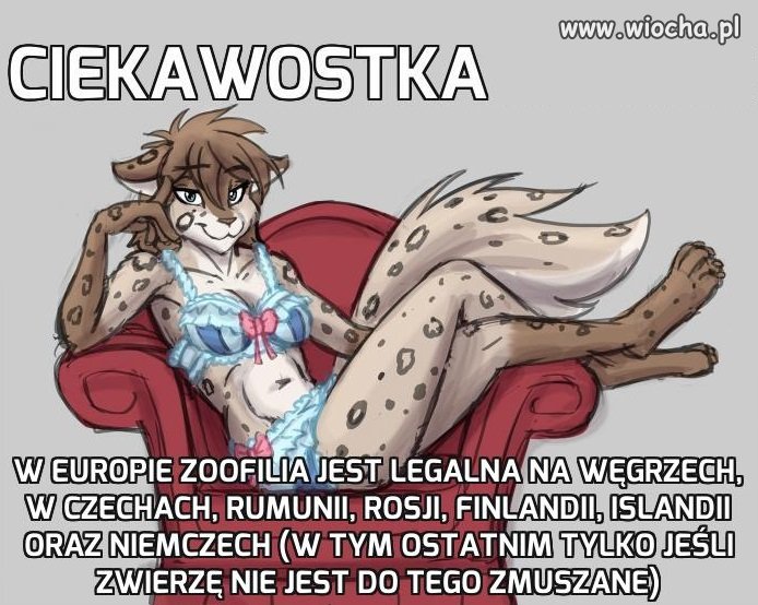 Ciekawostka
