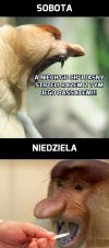 Polak wierzący i praktykujący