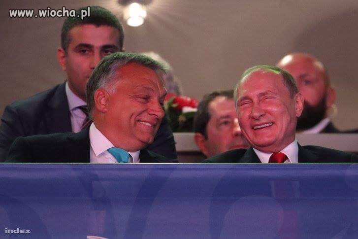 Jarek pyta kiedy mu oddasz wrak 