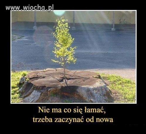 Nie ma co się