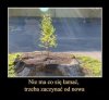 Nie ma co się