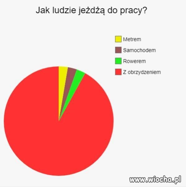 Trochę statystyki
