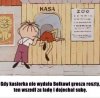 Bolek wie jak to się robi
