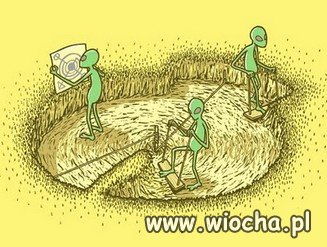 Kręgi w zbożu