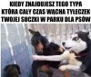 Ja ci zaraz dam!