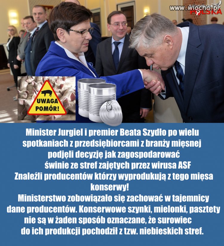Konserwy dla wojska ?