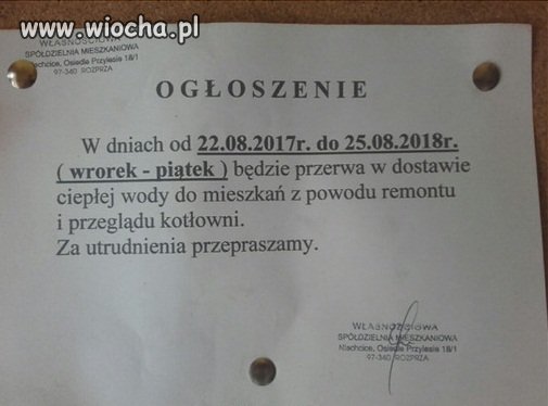 O kuźwa 