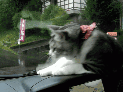 Taki tam.