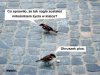 Niech żyje 500+