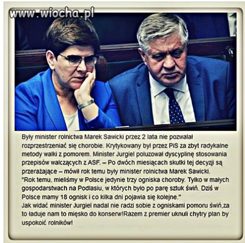 Niech rząd 