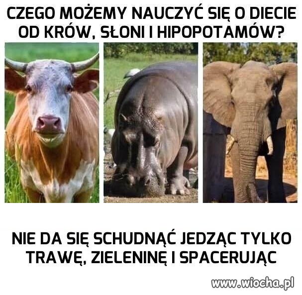Uczmy się na czyichś błędach!