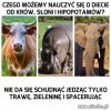 Uczmy się na czyichś błędach!