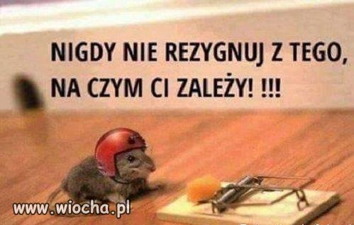Nie rezygnuj