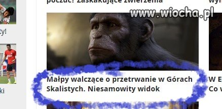 Jak zwykle tepe nagłówki na Interii KLIKI LICZĄ