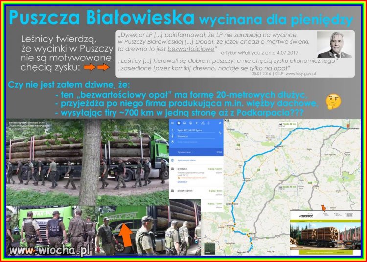 Puszcza, albo nie puszcza