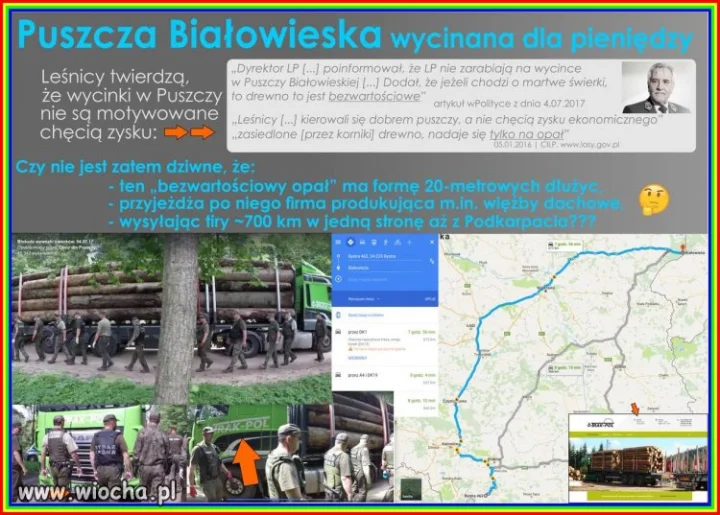 Puszcza, albo nie puszcza