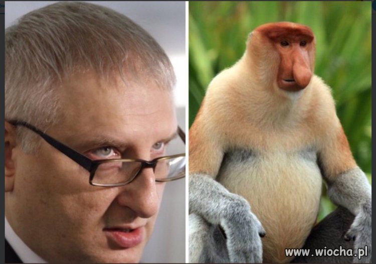 Jakie ładne ujęcie