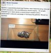 A to jest Marian