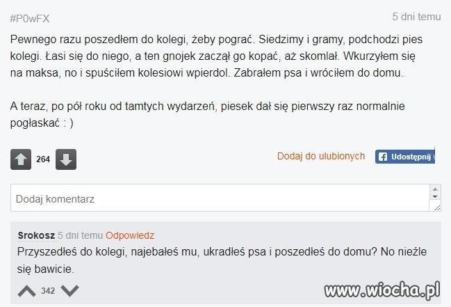 Pies kolegi