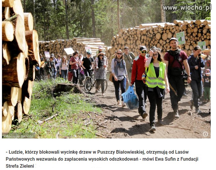 A na fotce same kawałki