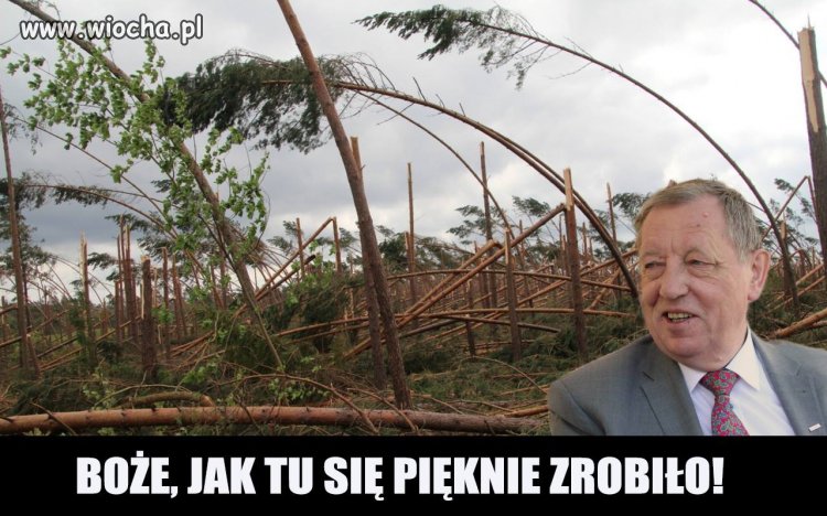Bogatemu to i wiatr dzieci kołysze