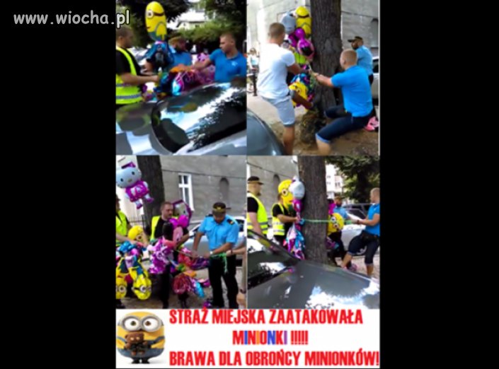 Straż miejska zaatakowała Minionki