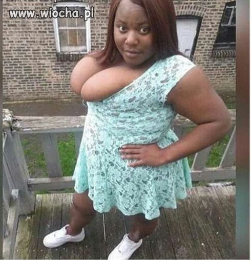Looker.