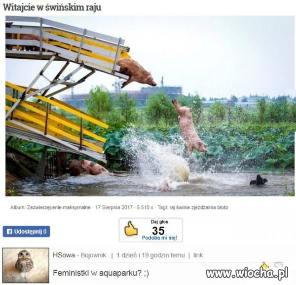 Politycy na wakacjach.