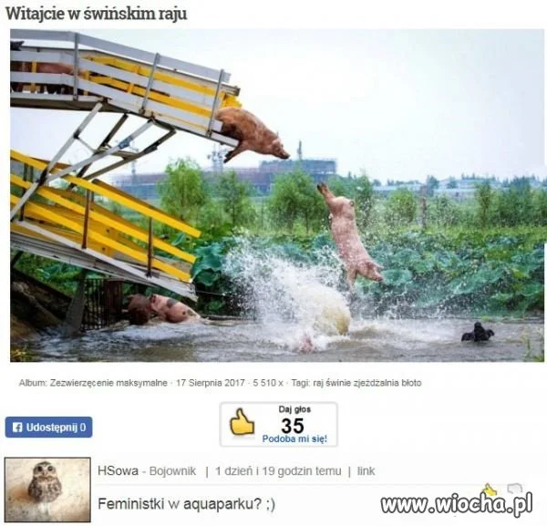 Politycy na wakacjach.