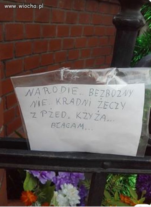 Bydloki wszysdko kradnom 