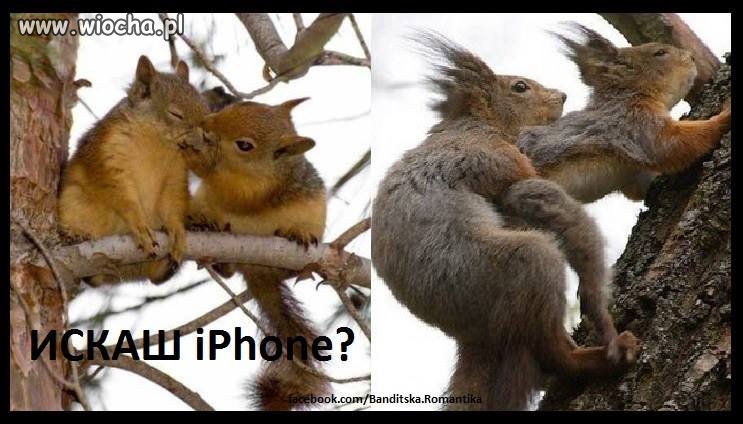 Chcesz iPhone?