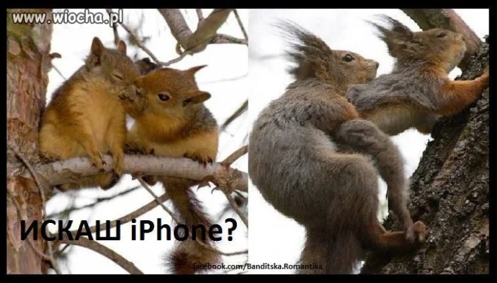 Chcesz iPhone?