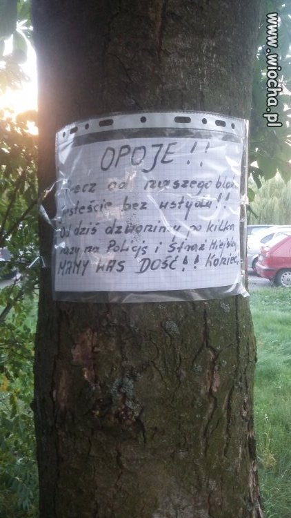 Opoje 