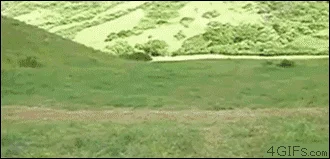 WTF ???