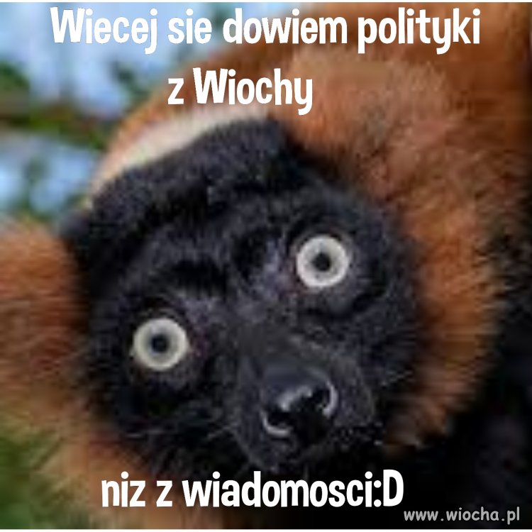 Info Wiocha