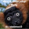 Info Wiocha