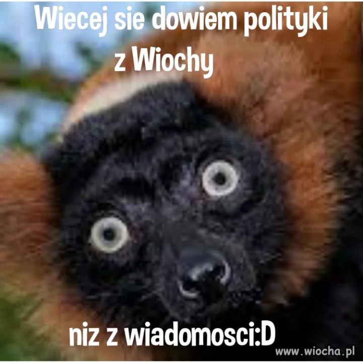 Info Wiocha