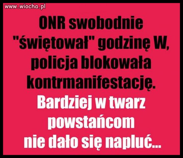 Pytanie kogo chcieli