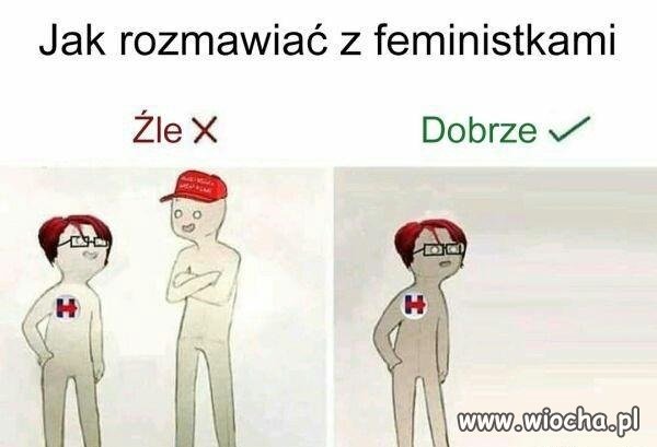 Feministki