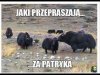 Jaki przepraszają 