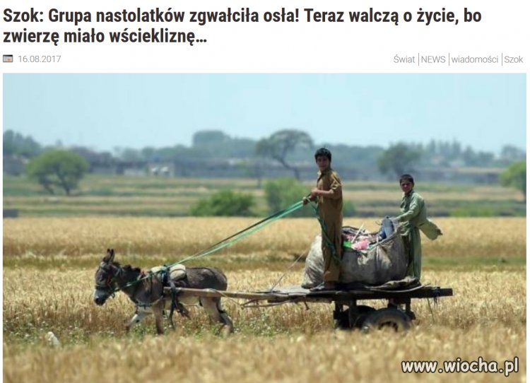 Co za pech...