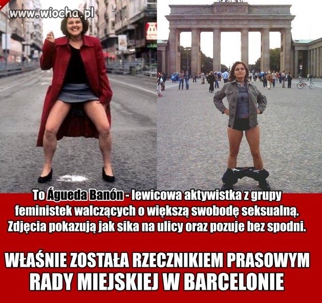 Dziwi kogoś jeszcze terroryzm z UE?