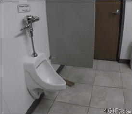 WC...