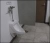 WC...
