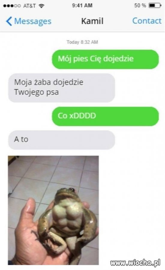 Strzeż się żaby