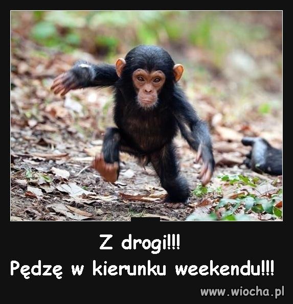 Z drogi!!!