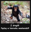 Z drogi!!!