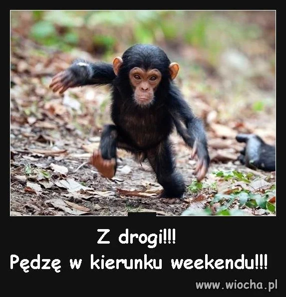 Z drogi!!!